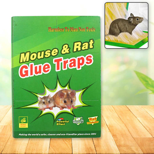 1238 Mice Traps Sticky Boards Strongly Adhesive That Work Capturing Indoor and Outdoor