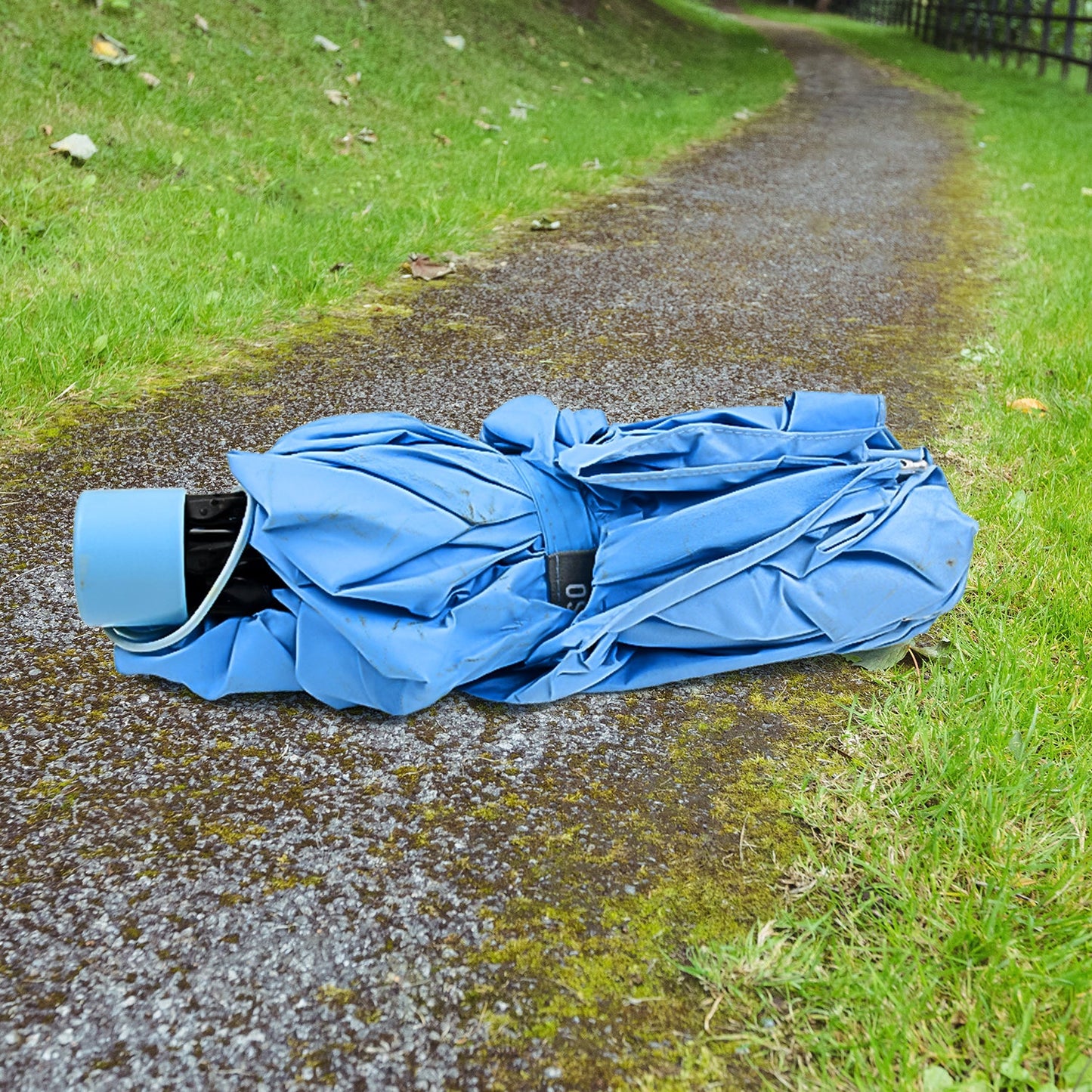 Foldable Umbrella