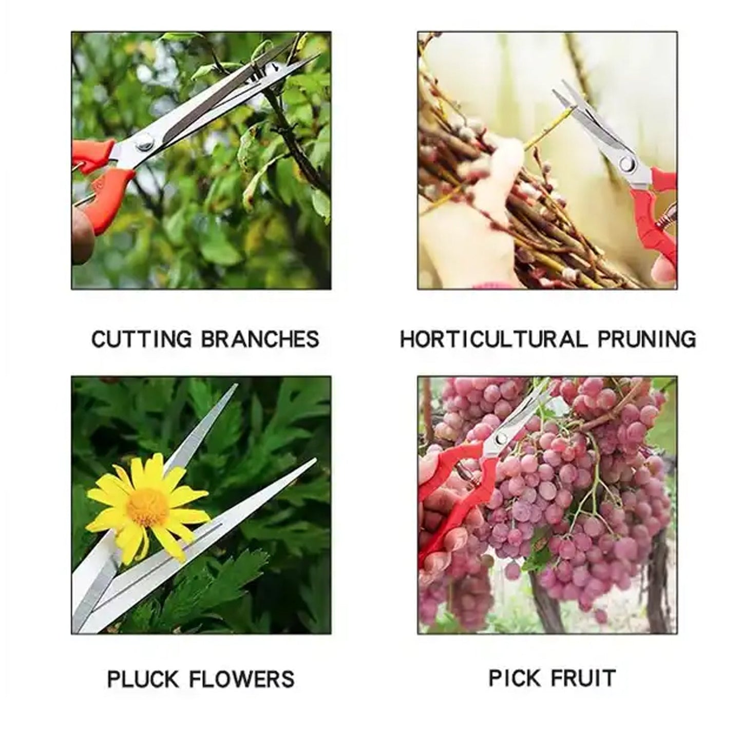 9135 Heavy Duty Stainless Steel Cutter, Non‑slip Trimming Scissors Durable Not Easy To Wear for Gardening Pruning Of Fruit Trees Flowers and Plants (With Plastic Packing)