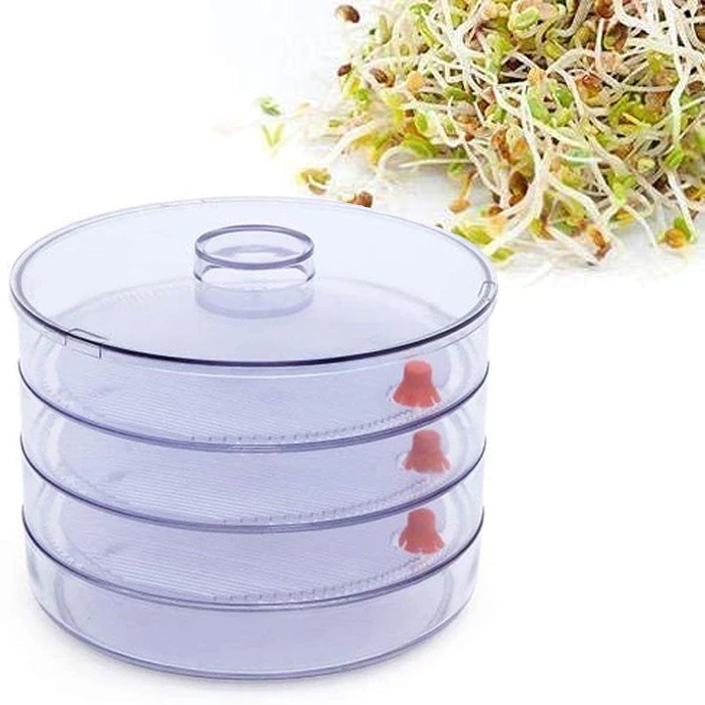 070 Plastic 4 Compartment Sprout Maker, White dopstop