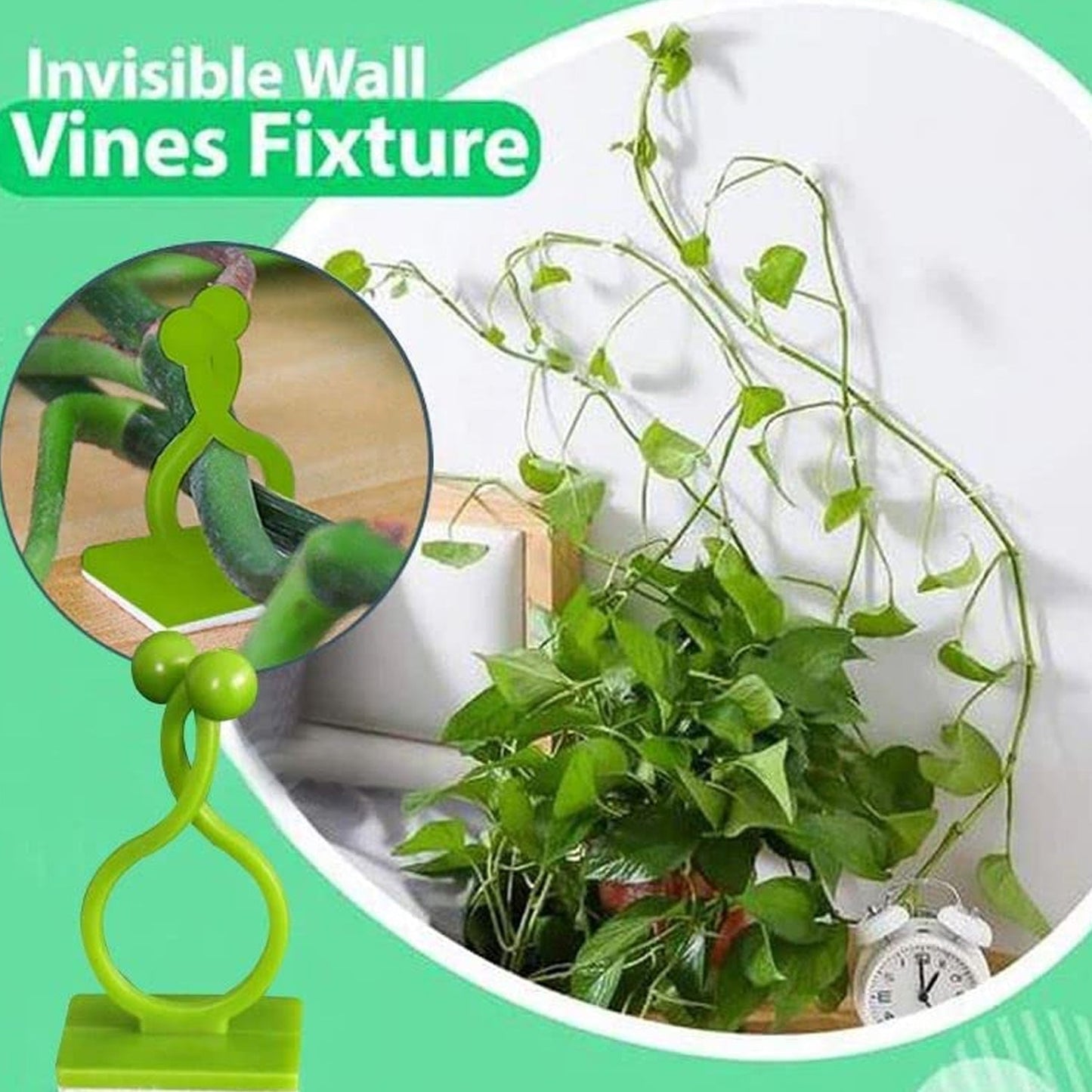 6156A 30pcs wall Plant Climbing Clip widely used for holding plants and poultry purposes and all. 