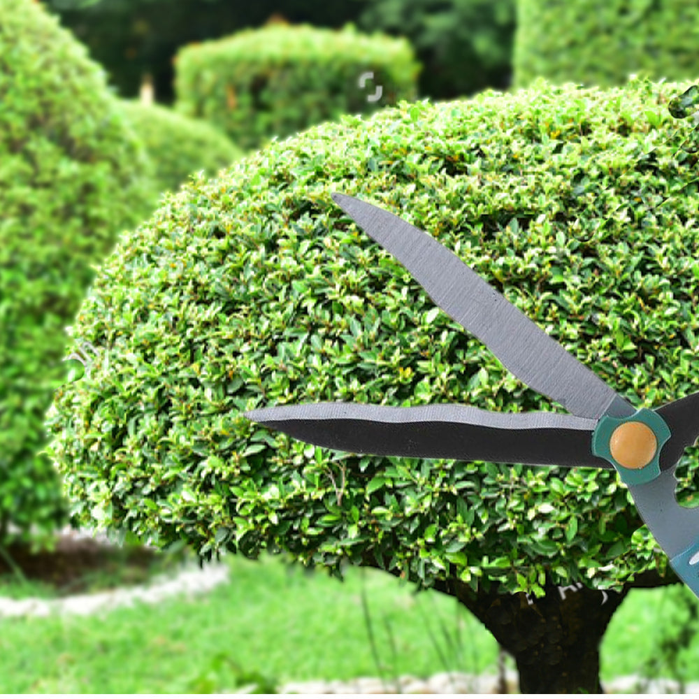 0469 Garden Big Scissor 